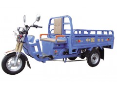 載龍電動(dòng)車