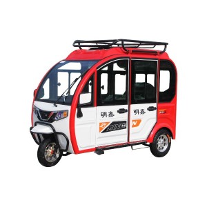 明鑫電動(dòng)車(chē)-全封閉