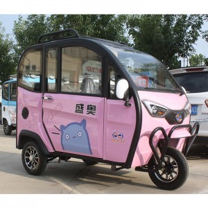 盛奧電動(dòng)車